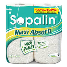 Sopalin Calorie Absorbent Scott 1 Rlx